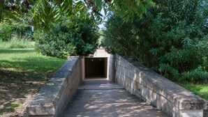 Un camino de hormigón que lleva a la entrada de un túnel rodeado de vegetación densa.