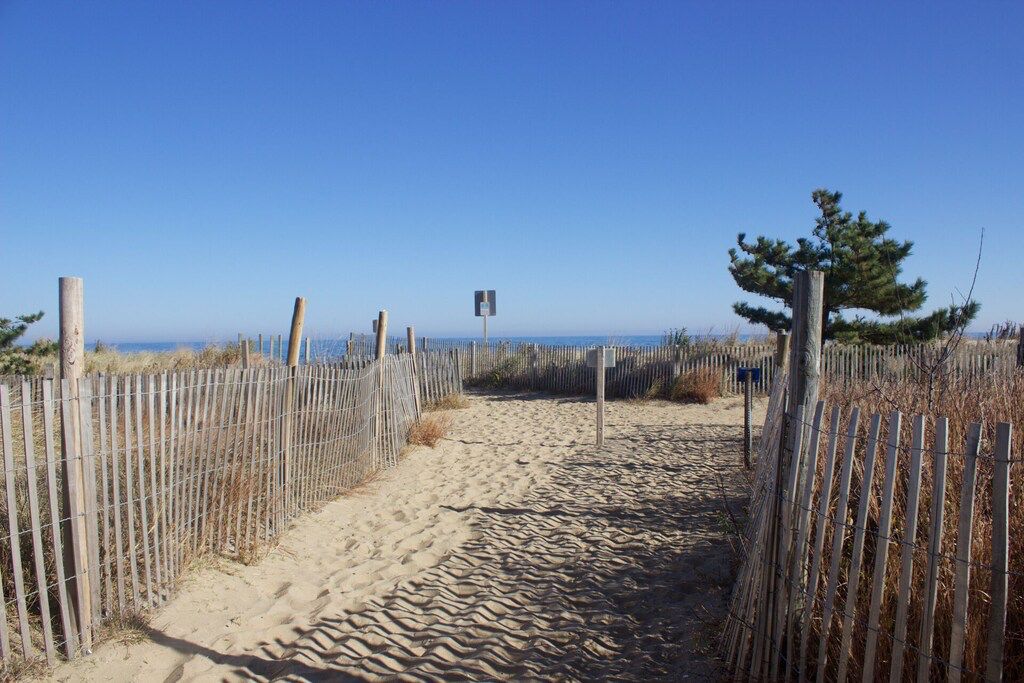 A sandy pathway flanked by wooden fences leading to a beach.