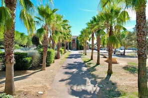 A pathway lined with palm trees leading to a building with a red facade. - Le Nid du Mas, 2 pers pool in Calvisson (Calvisson)