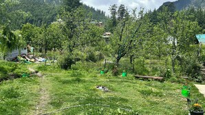 A rural landscape with a path, greenery, and a mountain backdrop. - Hotel Devidyar (Manali)