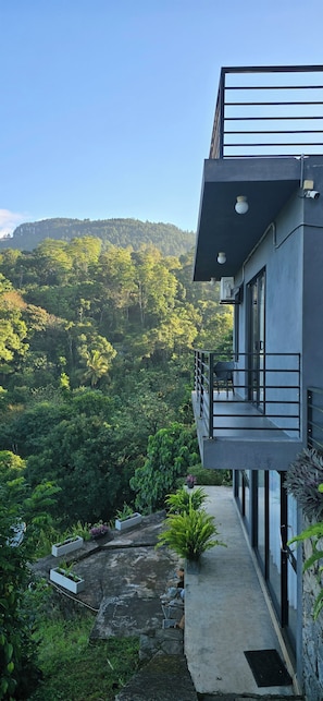 A modern building with a balcony overlooking a lush forested hillside.