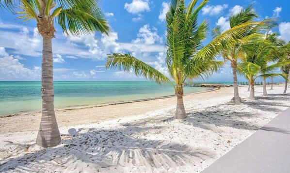 A beach with white sand, palm trees, and a clear blue sky. - Beachfront Living | Private Access + Ocean Views (Key Colony Beach)