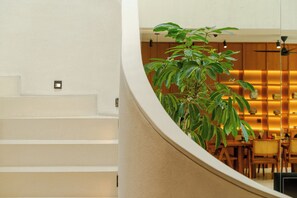 Uma escadaria em espiral com uma planta ao lado direito.