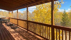 Outdoor dining - Luxury Mountain Getaway near Routt National Forest in Colorado (Walden)