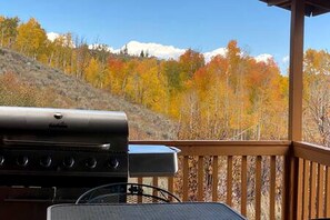 Property grounds - Luxury Mountain Getaway near Routt National Forest in Colorado (Walden)