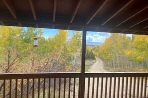 Interior - Luxury Mountain Getaway near Routt National Forest in Colorado (Walden)