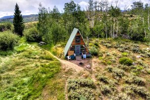 A cabin with a sloped roof, surrounded by dense forest, with a clear view of the sky. - Rustic Cabin with Spectacular Alpine Views in Walden, Colorado (Walden)