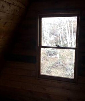 Una ventana con vistas a una zona boscosa.