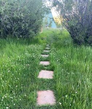 A stone pathway leading through a garden with grass and small white flowers. - Rustic Cabin with Spectacular Alpine Views in Walden, Colorado (Walden)
