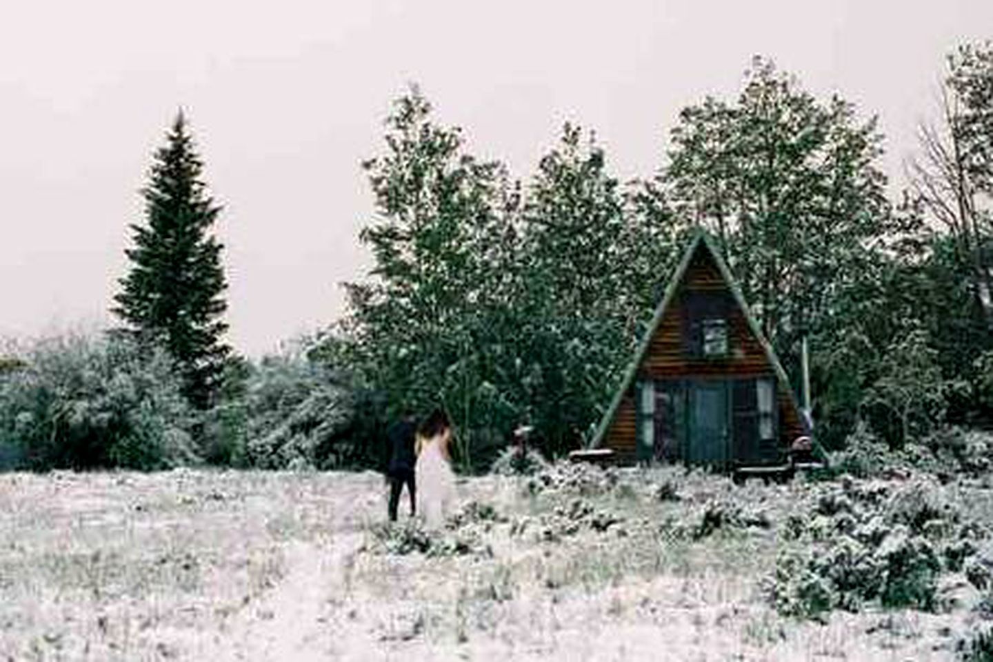 A cabin in a forested area.