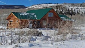 A log cabin with a green roof, surrounded by snow-covered ground and sparse vegetation. - Cabin Rental for Large Groups Ideal for Colorado Glamping (Walden)