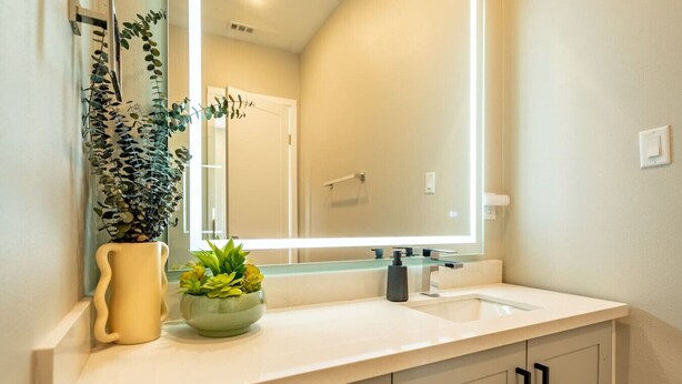 A bathroom with a white sink, a mirror, and a potted plant on the counter.