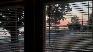 A window with horizontal blinds, a view of a parking lot, and a tree in the background.