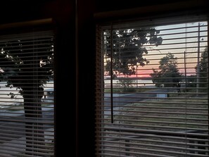A window with horizontal blinds, a view of a parking lot, and a tree in the background.