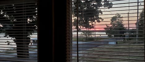 A window with horizontal blinds, a view of a parking lot, and a tree in the background.