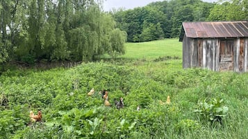 Unterkunftsgelände