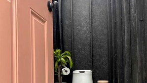 A narrow hallway with a green floor, a white trash bin, a potted plant, and a door with a black handle.