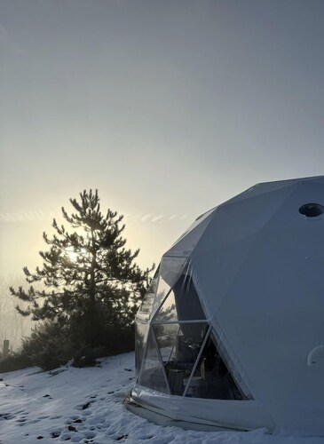 Cosmic Intimacy: Geodesic Dome Escape for Couples in a Dreamy Michigan Setting