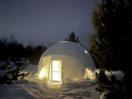Cosmic Intimacy: Geodesic Dome Escape for Couples in a Dreamy Michigan Setting