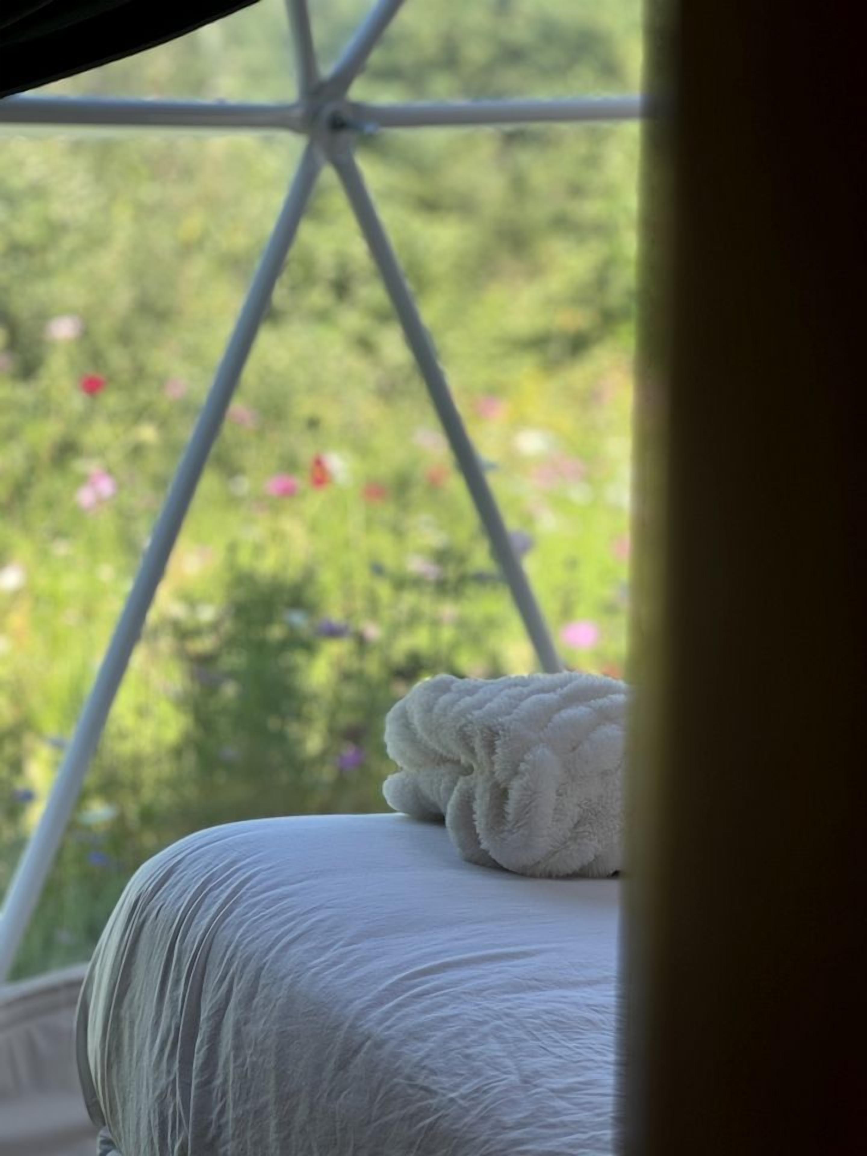 A bed with a white blanket, a window with a view of greenery and flowers, and a metal structure in the background.