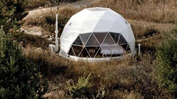 Una estructura de domo geodésico con una zona de estar central, rodeada por un paisaje natural.