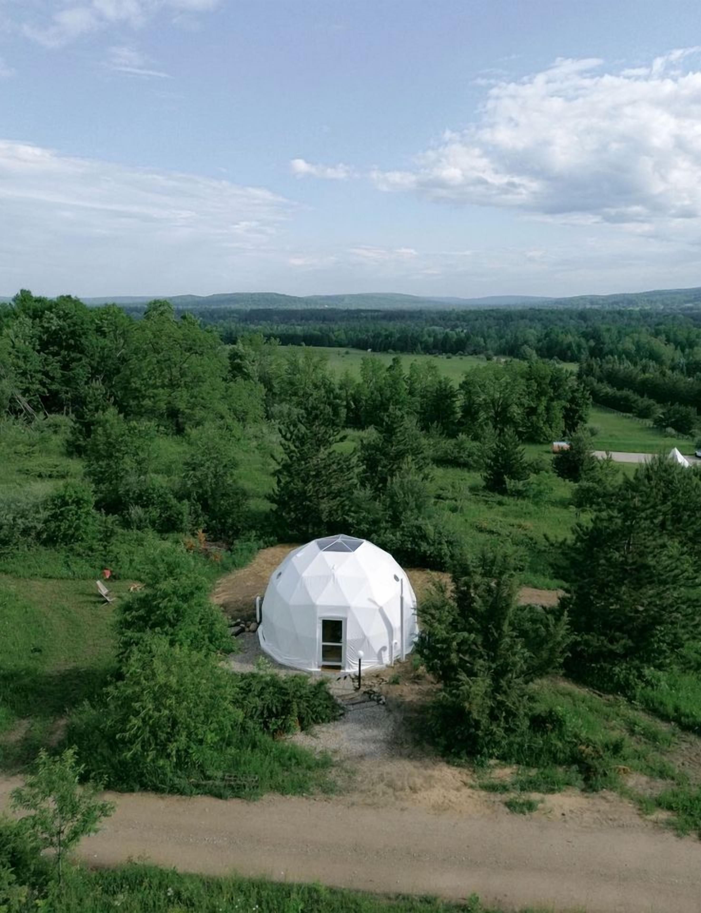 Una struttura a cupola geodetica circondata da una fitta foresta, con un cielo sereno sopra.