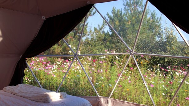 A tent with a bed inside, a window with a view of a field of flowers.