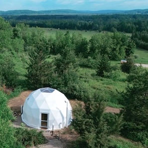 A geodesic dome structure in a forested area with a clear view of the surrounding landscape.