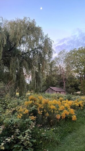 A garden with a large tree, yellow flowers, and a wooden structure. - Cosmic Intimacy: Geodesic Dome Escape for Couples in a Dreamy Michigan Setting (Boyne Falls)