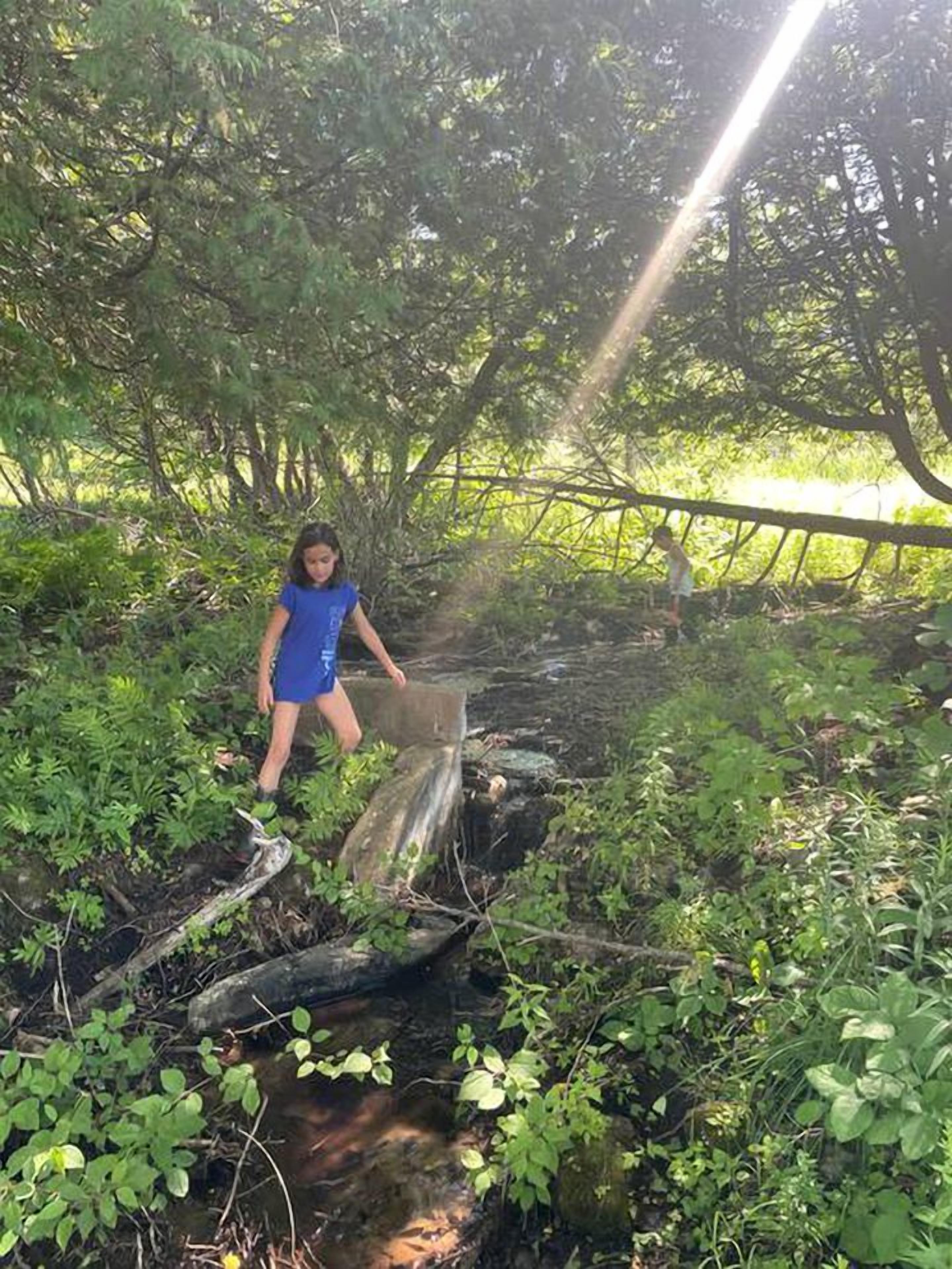 Una persona de pie sobre un tronco que cruza un arroyo en un área boscosa.