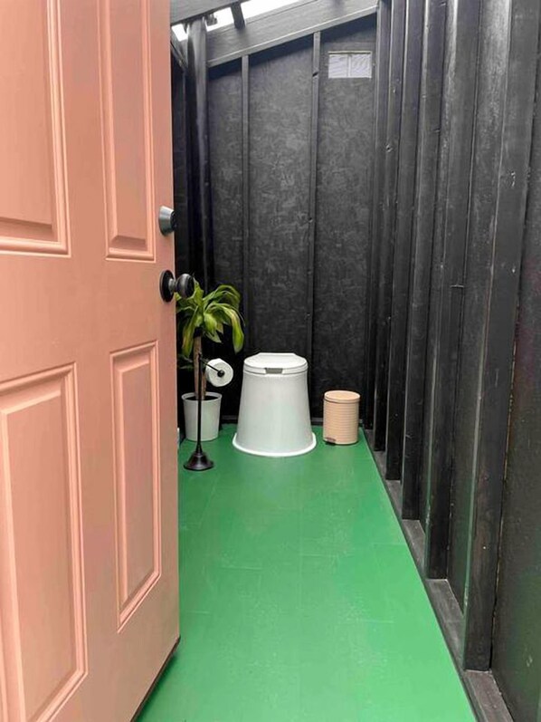 A narrow hallway with a green floor, a closed door, a potted plant, and a trash bin.