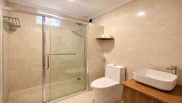 Shower, hair dryer, bidet, towels