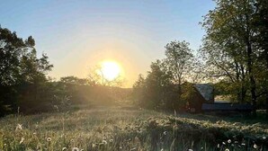 A field with tall grass and daisies under a clear sky with the sun low on the horizon. - Romantic Stargazing Retreat: Bell Tent for Couples in Michigan's Dream Destination (Boyne Falls)