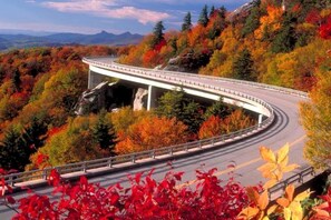 Una carretera sinuosa con un puente sobre un área boscosa.