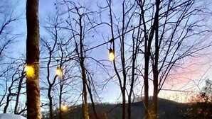 A hot tub surrounded by trees, wooden stairs, and string lights.
