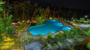 A nighttime view of a swimming pool surrounded by lush greenery and a well-lit deck area.