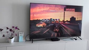 Télévision