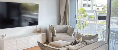 TV