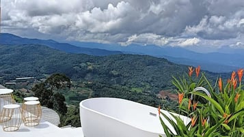Deluxe Room | Bathroom | Separate bathtub and shower, rainfall showerhead, free toiletries