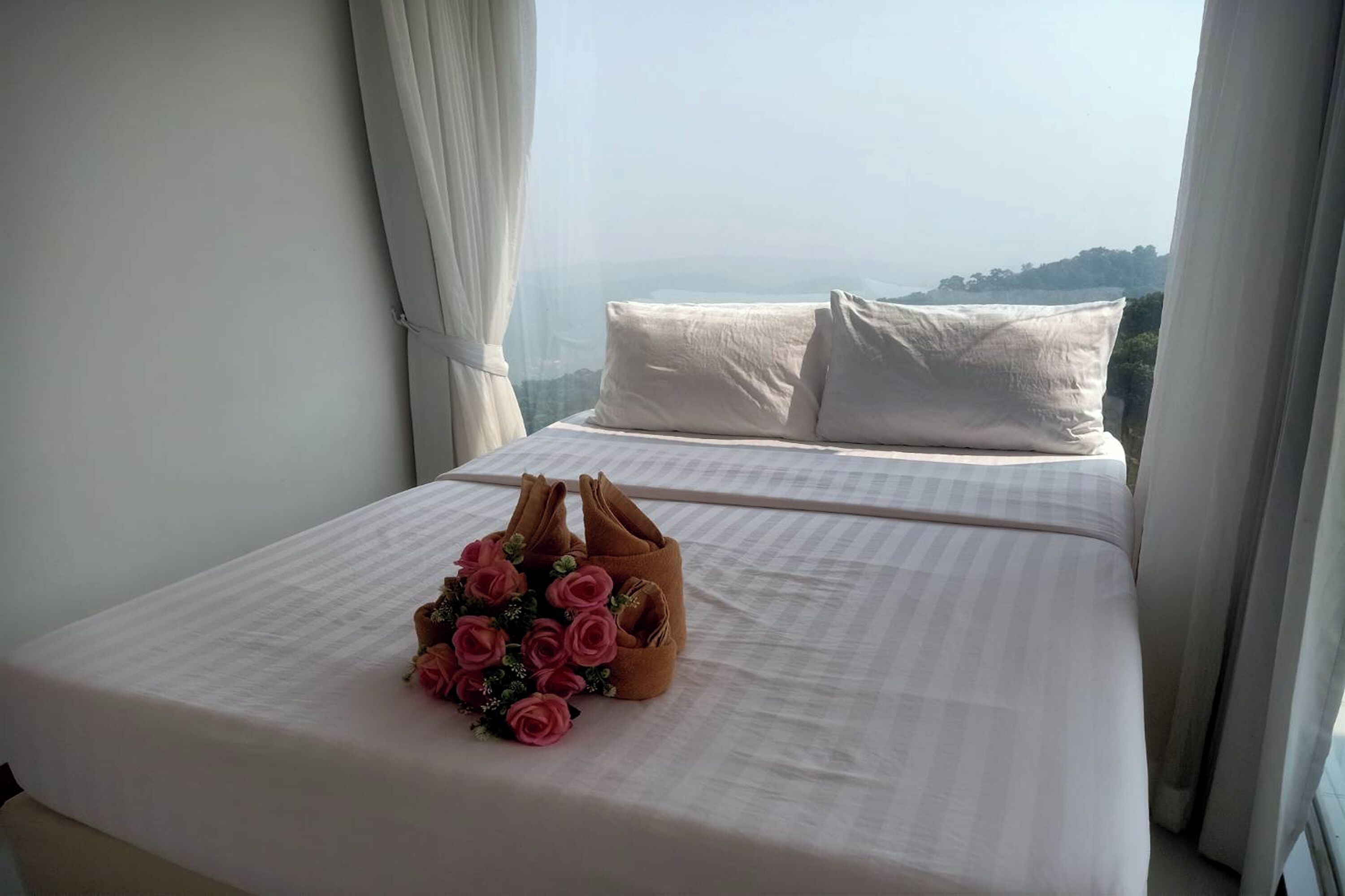 Deluxe Room | Meja, Wi-fi percuma, cadar katil 