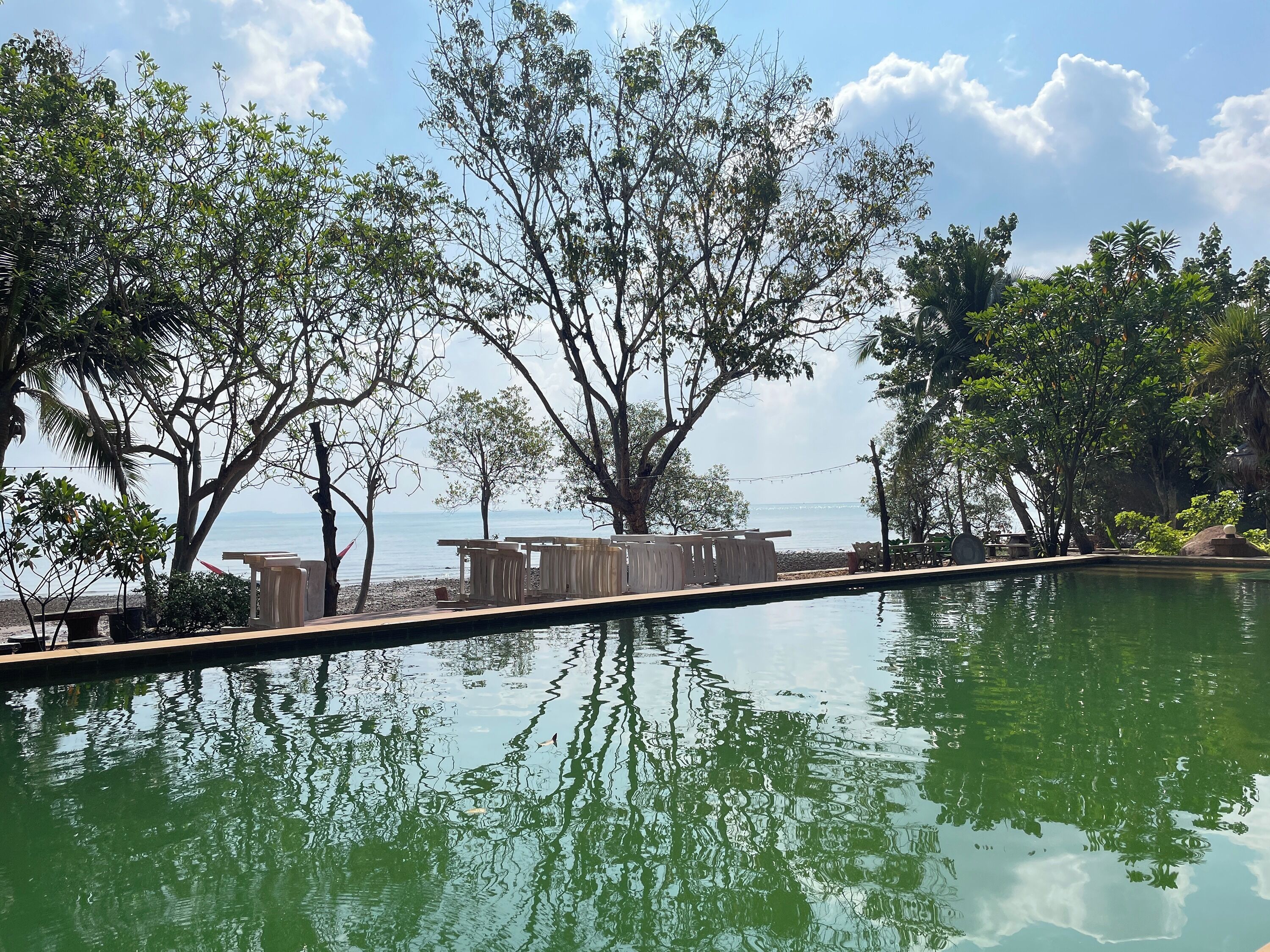 Piscina externa
