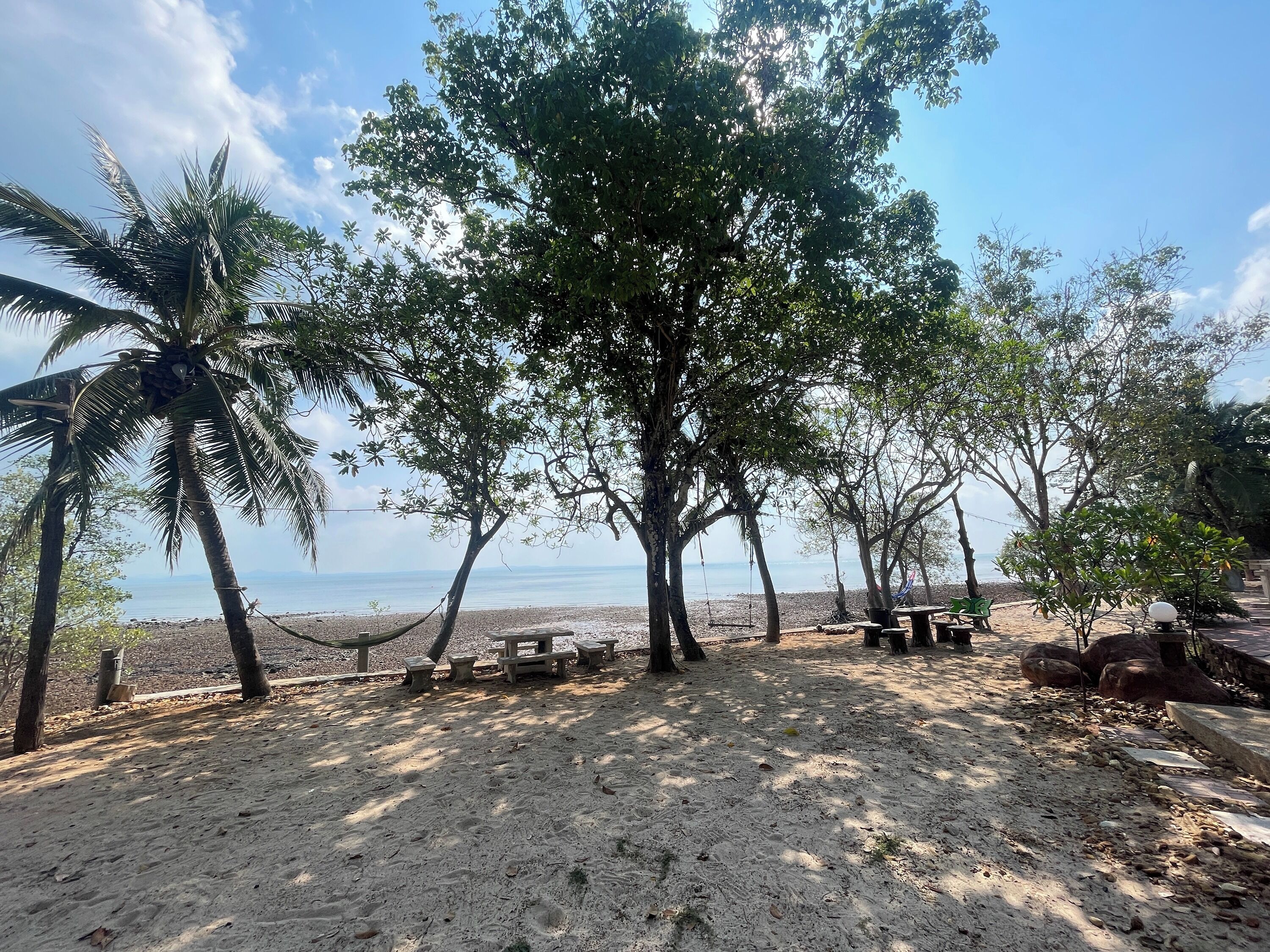 Una playa con árboles, una hamaca y mesas de picnic.