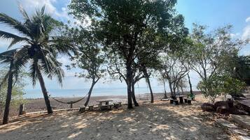 Una playa con árboles, una hamaca y mesas de picnic.
