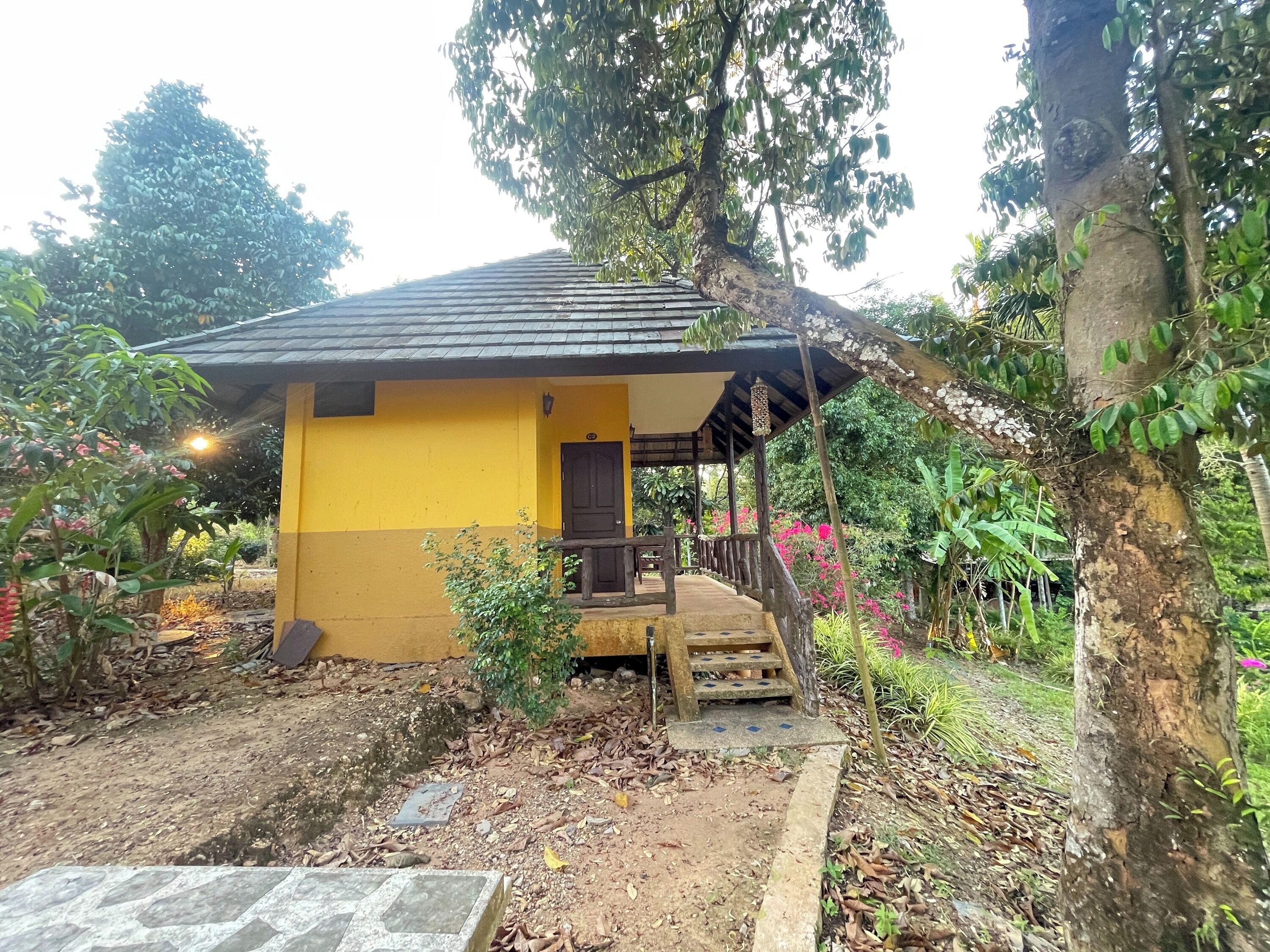 A small yellow building with a porch, surrounded by trees and plants.