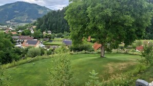 A residential area with houses, a large tree, and a mountain in the background.
