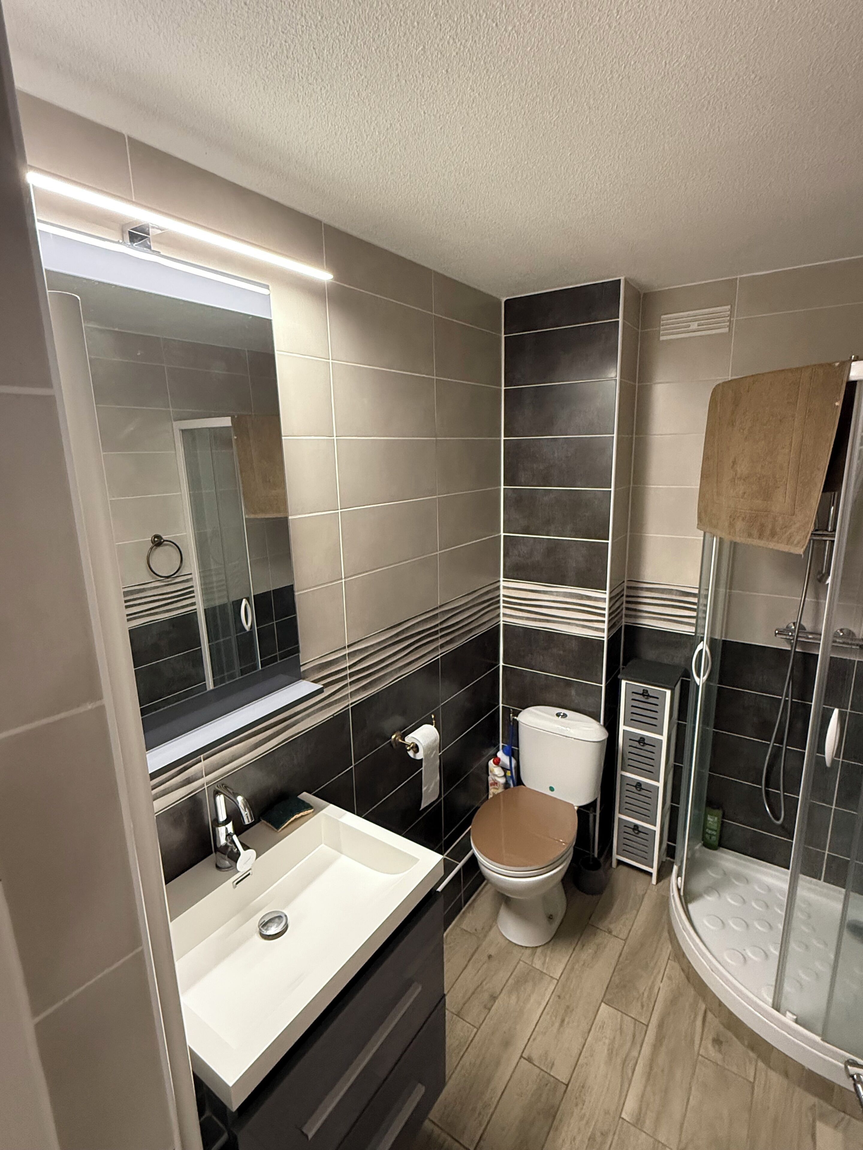 Shower, soap, toilet paper