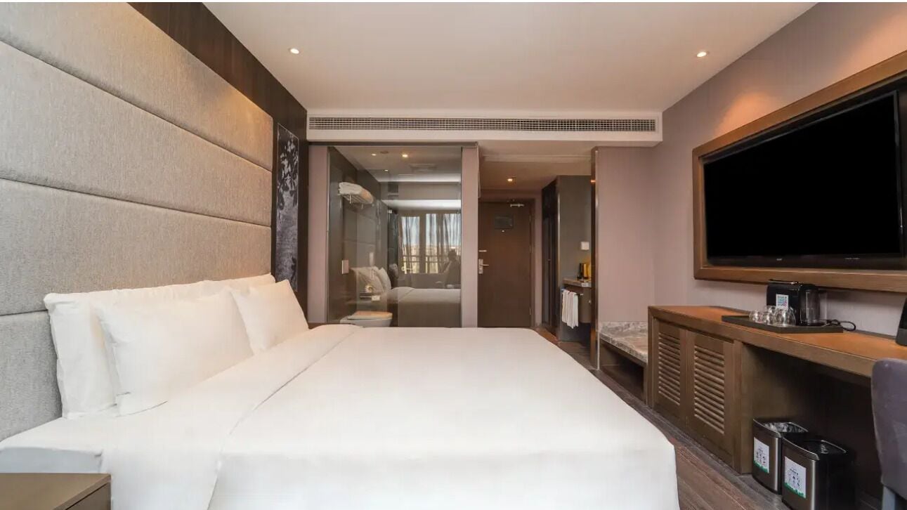 Down duvets, free minibar, blackout curtains, soundproofing