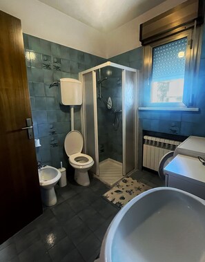 Shower, hair dryer, bidet, towels