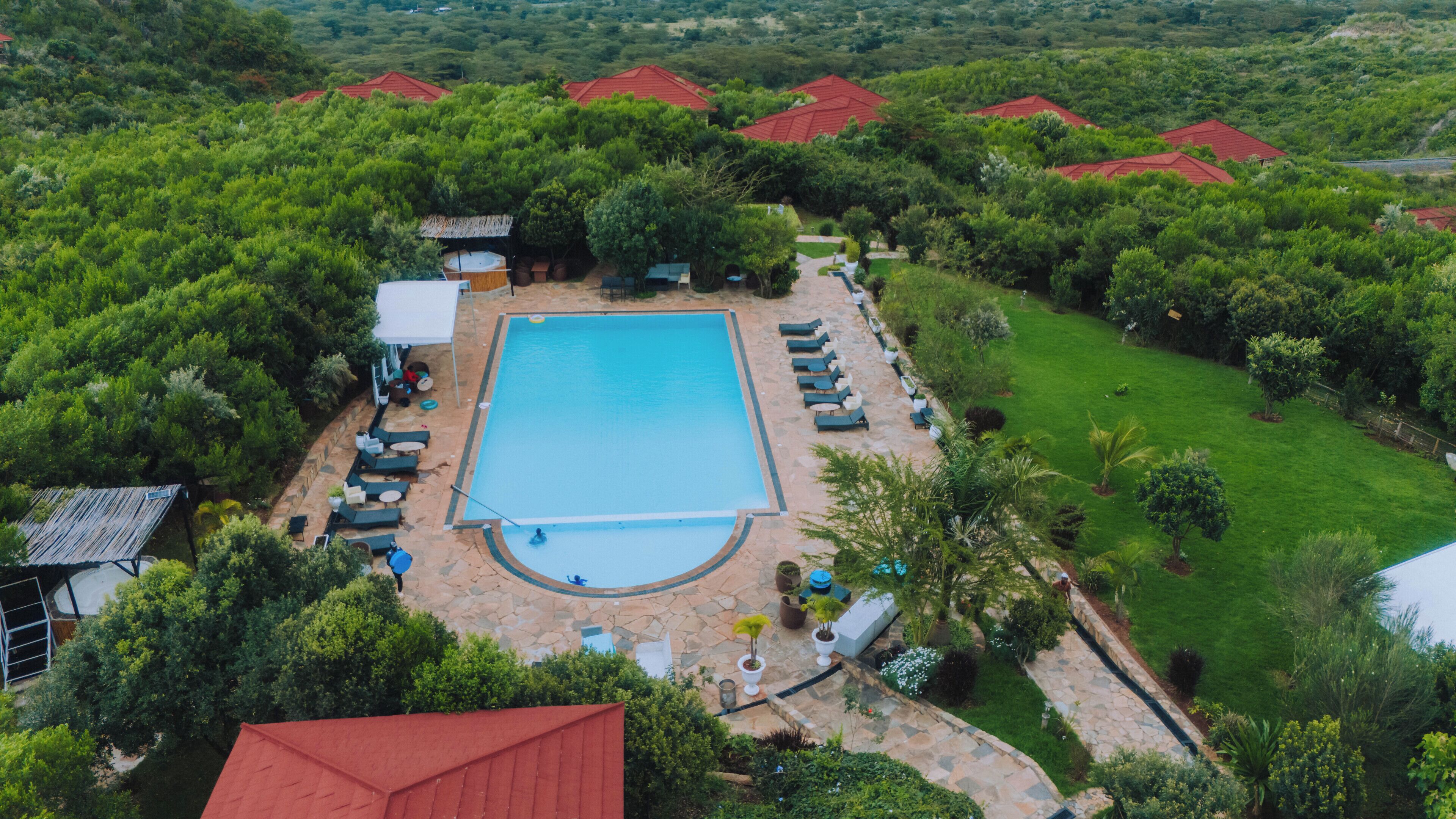 A large swimming pool surrounded by lounge chairs and a garden.