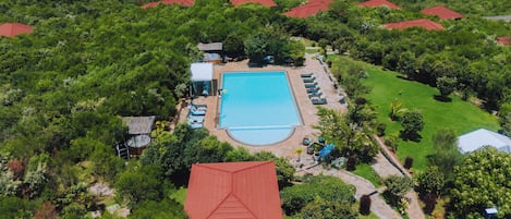 Outdoor pool, open 8:00 AM to 6:00 PM, pool umbrellas, sun loungers